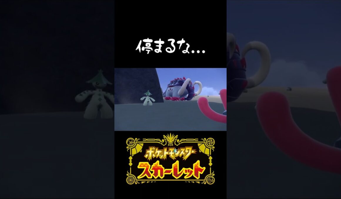 迫りくるドンファンもどき#ポケモン #ポケモンSV #パルデア