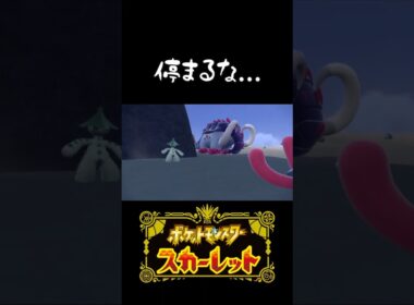 迫りくるドンファンもどき#ポケモン #ポケモンSV #パルデア
