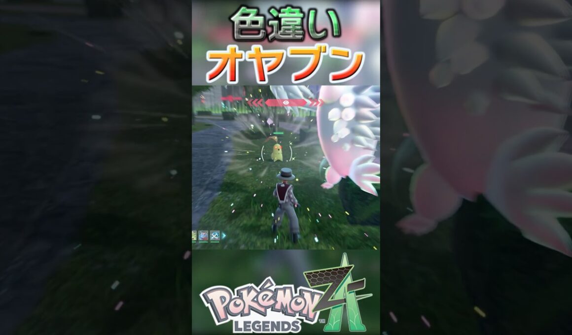 戦闘！色違いオヤブンチコリータ #shorts