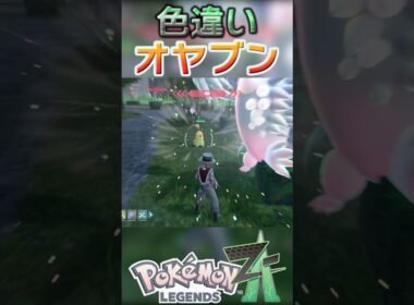 戦闘！色違いオヤブンチコリータ #shorts