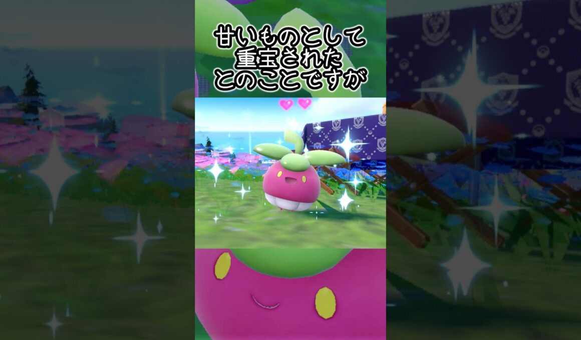 【疲れた人向け】アマカジ6匹とピクニック【ポケモンSV】#Shorts