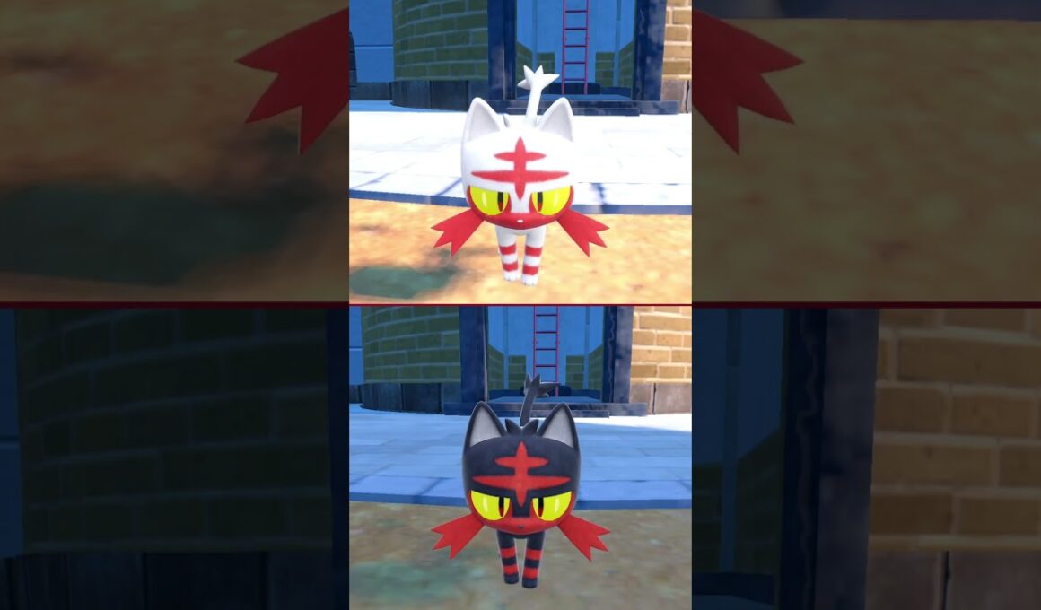 #ニャビー  #litten  #pokemonscarletandviolet