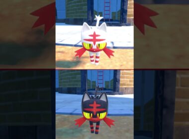 #ニャビー  #litten  #pokemonscarletandviolet