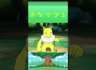 スリーパー*ポケモン ポケリフレ ポケパルレ #ポケモン #Pokemon  #3DS #nintendoswitch #ポケモンsv #ポケモン #キャンプ #カレー #サンドイッチ #ピクニック