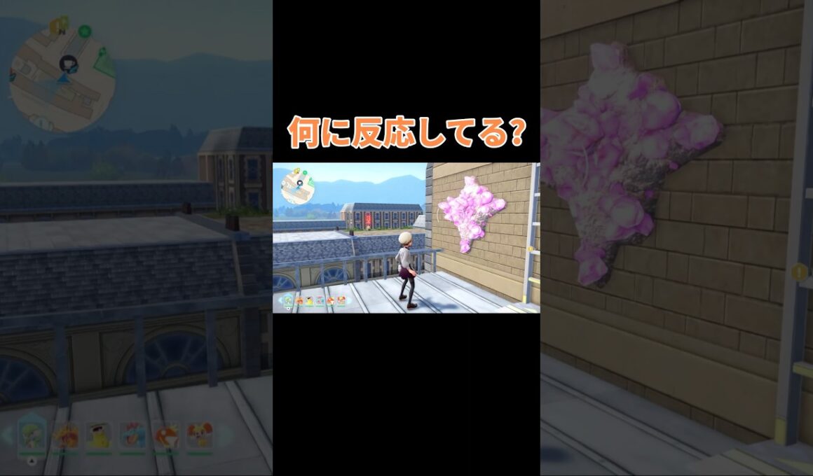ピジョンは何に反応してるんだろう?　ポケモンZA #shorts