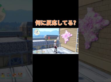 ピジョンは何に反応してるんだろう?　ポケモンZA #shorts