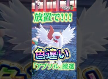 【超効率】放置で色違いアブソル厳選【Pokémon LEGENDS Z-A 】