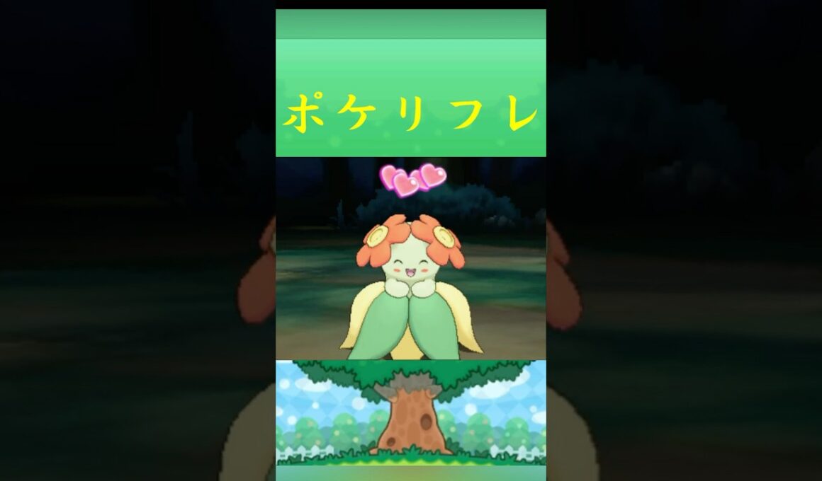 ポケモン キレイハナ ポケリフレ ポケパルレ #ポケモン #Pokemon  #3DS #ポケモン技 #ポケモンsv #ポケモン #ふれあい
