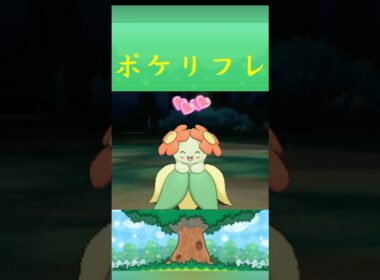 ポケモン キレイハナ ポケリフレ ポケパルレ #ポケモン #Pokemon  #3DS #ポケモン技 #ポケモンsv #ポケモン #ふれあい