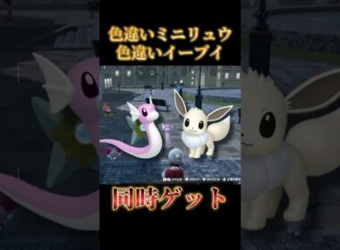 【2体同時】放置で色違いミニリュウと色違いイーブイを最速で捕まえる方法【ポケモンZA】#shorts #ポケモン #つっつー #pokemon