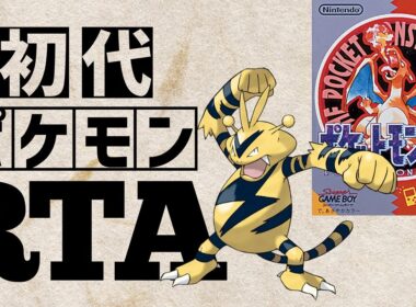 エレブーlv5を最初から相棒にしてRTAに挑んだら【エレブーチャート】