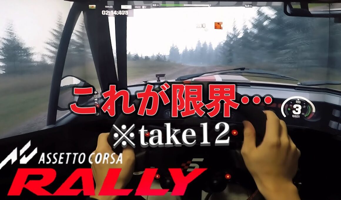 【ASSETTO CORSA Rally】走り過ぎてコドラの意味が無い