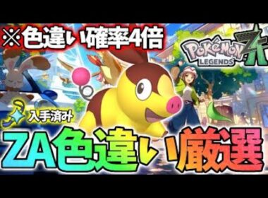 御三家最後のポカブ色違い狙うぞ！【レジェンズza】