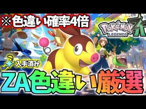 御三家最後のポカブ色違い狙うぞ！【レジェンズza】