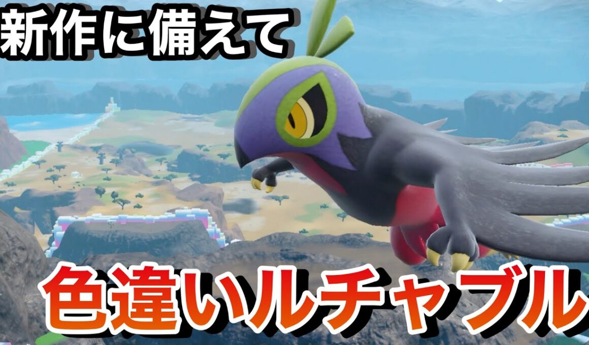 【ポケモンSV】メガ進化を手に入れたルチャブル！新作に備えて色違い捕まえる！
