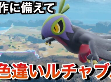 【ポケモンSV】メガ進化を手に入れたルチャブル！新作に備えて色違い捕まえる！