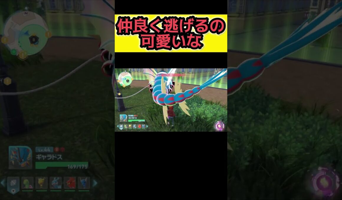 2匹のメグロコが並んで走ってるの可愛い【Pokémon LEGENDS Z-A】#ポケモンレジェンズza #pokemonlegendsza #ポケモン #ポケモンza #pokemon