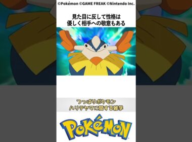 ポケモン 1分でわかるハリテヤマ Pokemon #ポケモン #pokemon #ポケットモンスター