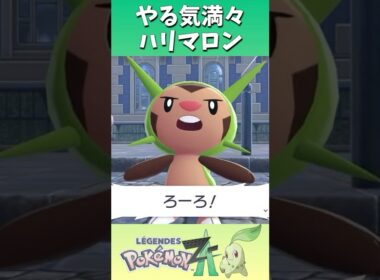 やる気満々ハリマロン #shorts  #ゲーム実況 #nintendoswitch2 #pokemonlegendsza