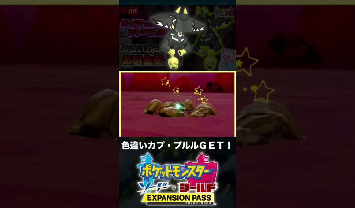 色違いカプ・ブルルと邂逅した男【ポケモン剣盾】