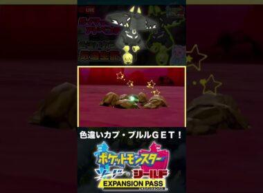 色違いカプ・ブルルと邂逅した男【ポケモン剣盾】