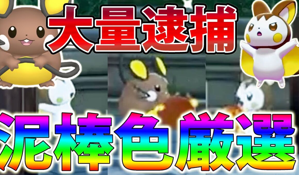 【泥棒】「色違いデデンネ＆エモンガ」を簡単に入手できる泥棒色厳選がかわいすぎる【ポケモンレジェンズZA/Pokémon LEGENDS Z-A】