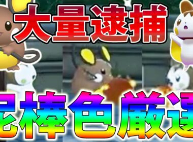【泥棒】「色違いデデンネ＆エモンガ」を簡単に入手できる泥棒色厳選がかわいすぎる【ポケモンレジェンズZA/Pokémon LEGENDS Z-A】