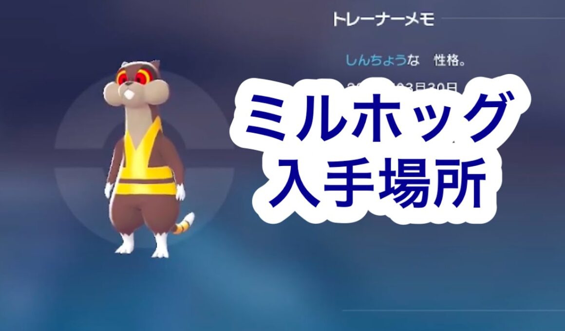 【ポケモンZA】ミルホッグ入手場所