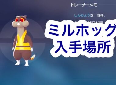 【ポケモンZA】ミルホッグ入手場所