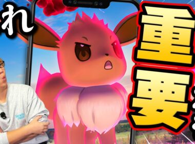 ダイマックスイーブイって厳選するべき?見落としがちなポイント&対策&今後のお話!【ポケモンGO】