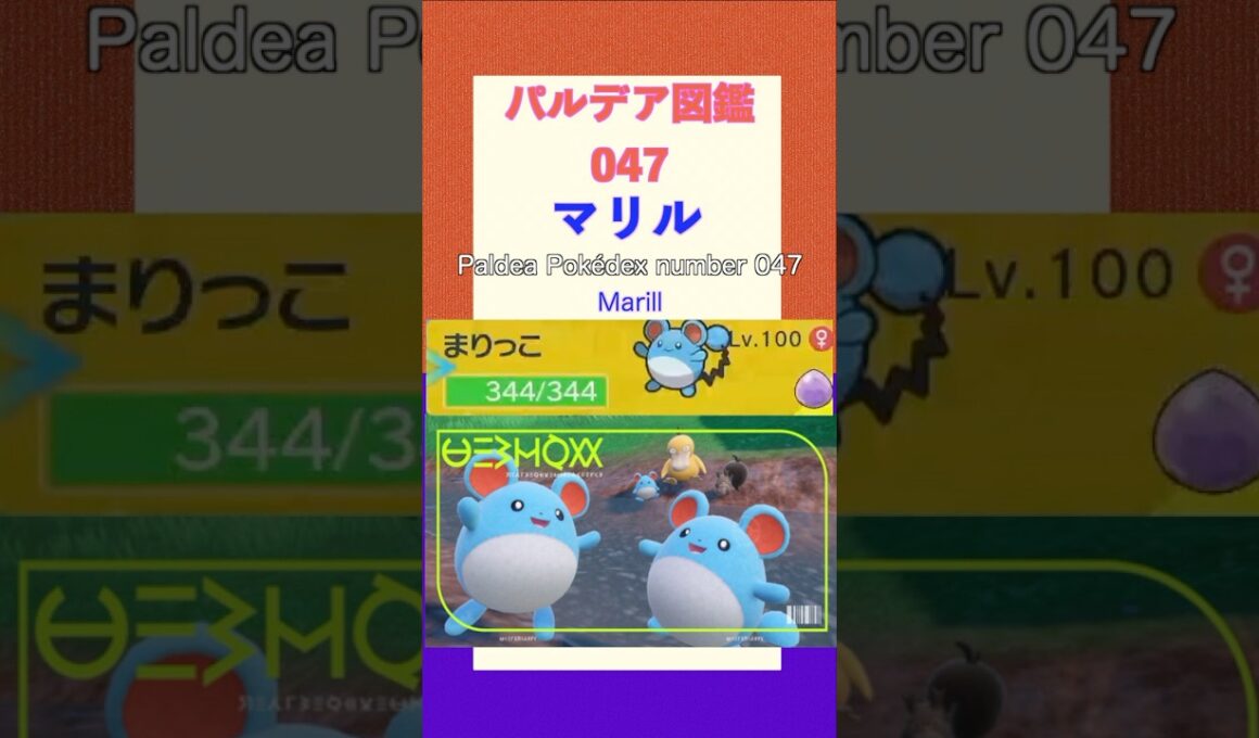 ポケモンSV パルデア図鑑047　マリル　レベル100 #shorts