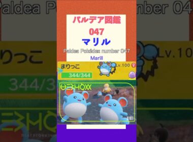 ポケモンSV パルデア図鑑047　マリル　レベル100 #shorts