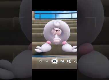 ポケモンヒーリング　テブリム編