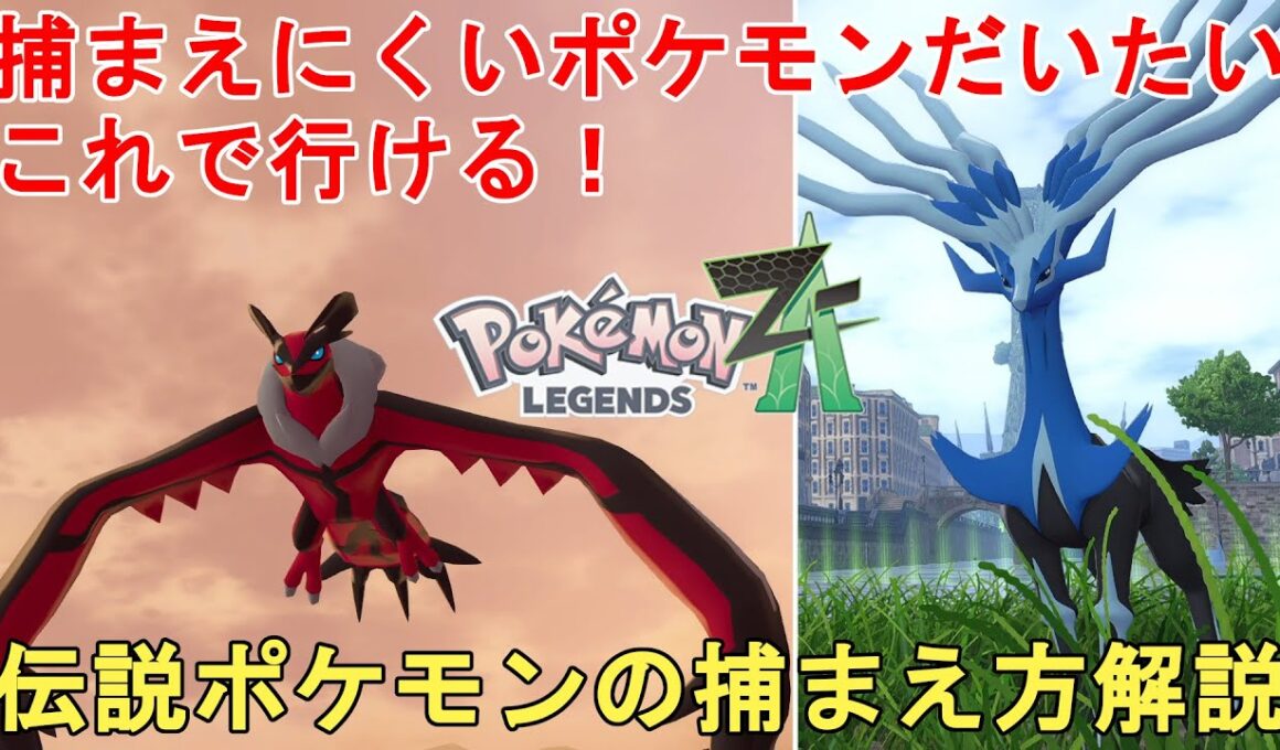 【ポケモンZA】伝説ポケモン ゼルネアスとイベルタルの捕まえ方解説！捕まえにくいポケモンはだいたいこれで行けます！Pokemon LEGENDS Z-A Legendary【ポケットモンスター攻略】