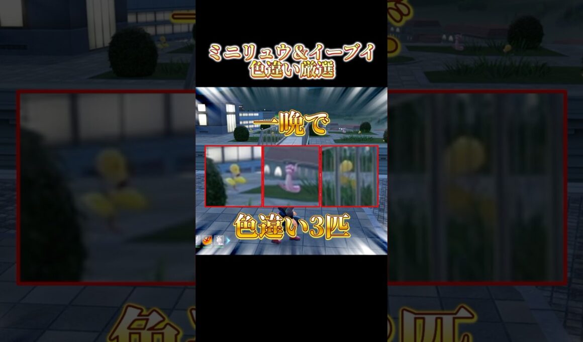 ポケモンZA、色違いミニリュウとイーブイを放置で簡単に捕まえられる件 #ポケモン #pokemon #포켓몬ZA #色違い #shinyhunting