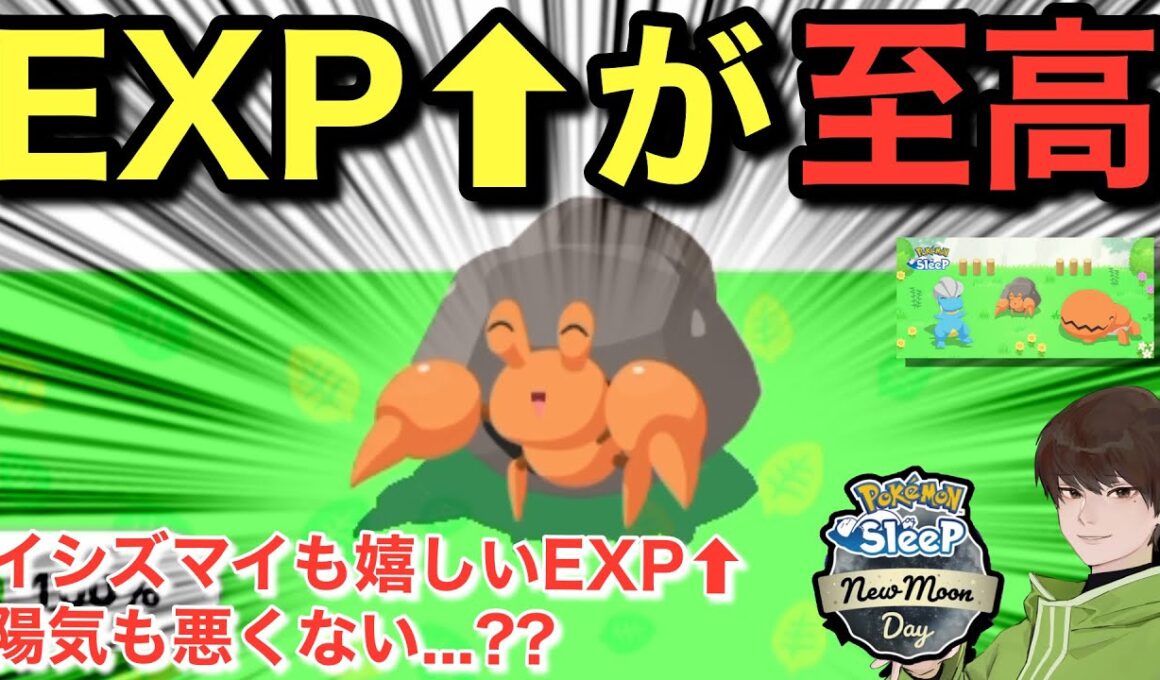 タツベイもイシズマイもEXP⬆︎は嬉しい🤤【ポケモンスリープ】【アンバー渓谷登場キャンペーン】無課金リサーチ850/835日目