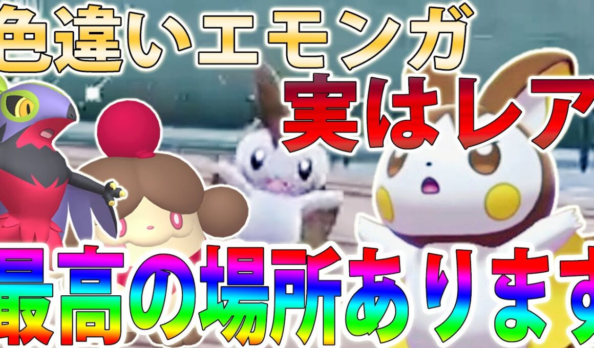 【自動&高効率】色違いエモンガを3匹同時に厳選する最強の場所！ペロッパフやルチャブルも狙える【ポケモンレジェンズZA/Pokémon LEGENDS Z-A】