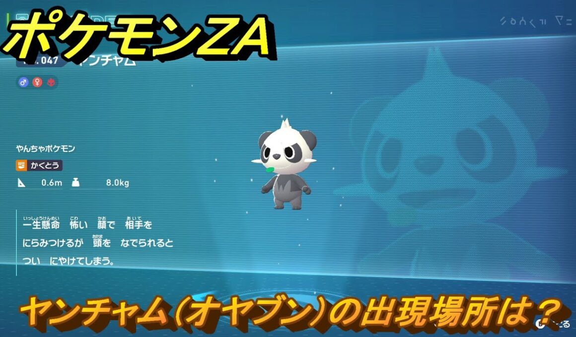 ポケモンＺＡ　ヤンチャム（オヤブン）の出現場所は？図鑑０４７　＃５９１　【Pokémon LEGENDS Z-A】