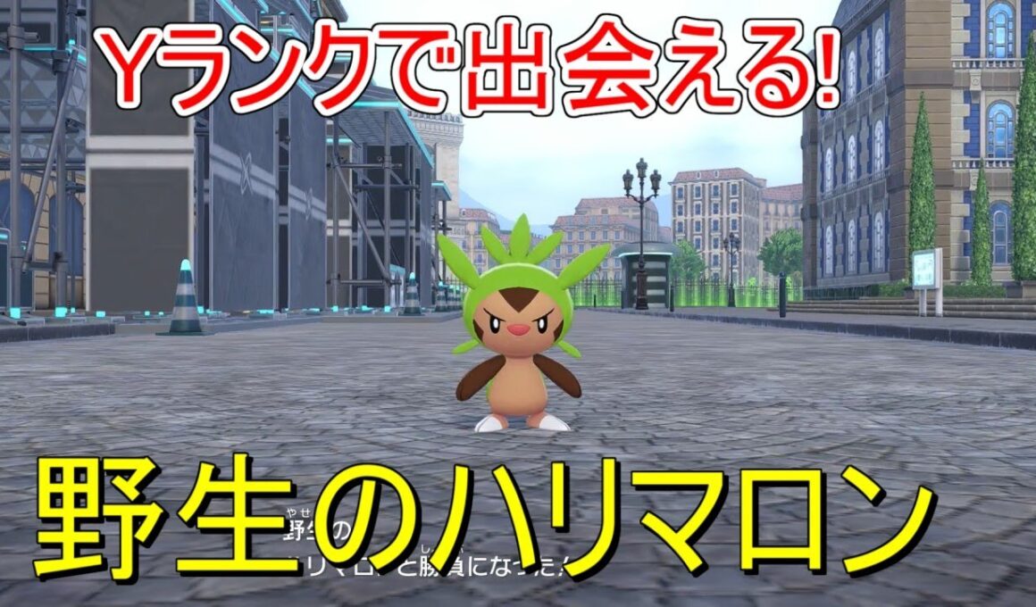 【ポケモンZA】序盤で会える御三家！ハリマロン入手方法解説【旅パ/御三家/レアポケモン】【レジェンズZA】