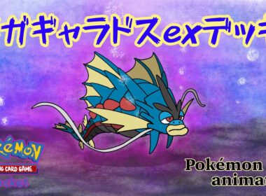 【ポケモンアニメーション】メガギャラドスexデッキ