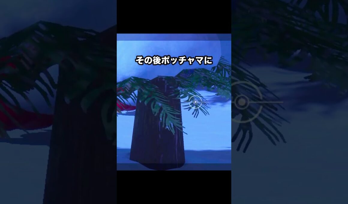 【カワイイは正義！】ポッチャマにリンゴを貢ぐデリバード #ポケモン #newポケモンスナップ