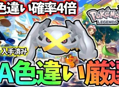 入手難易度の高いダンバル色違いを狙う！【ポケモンレジェンズza】