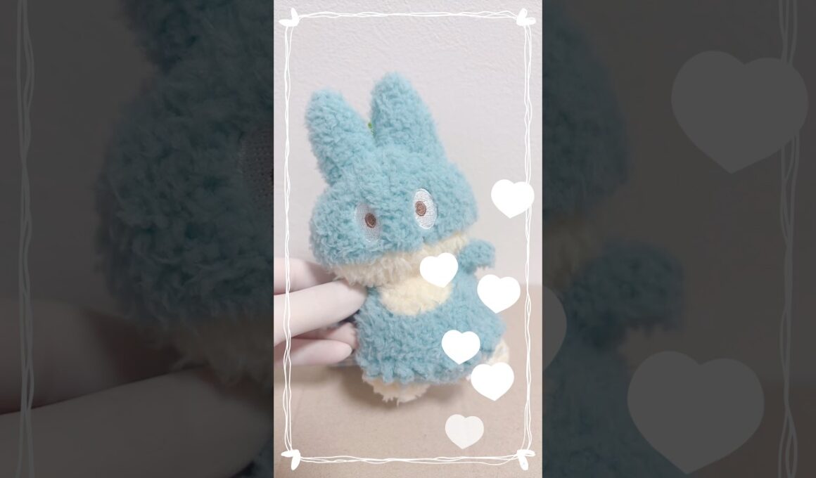 ゴンベがかわいい