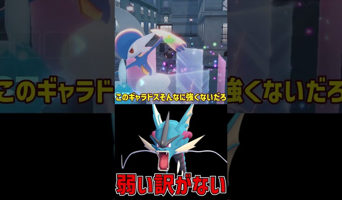 弱い要素がない 最強メガギャラドス