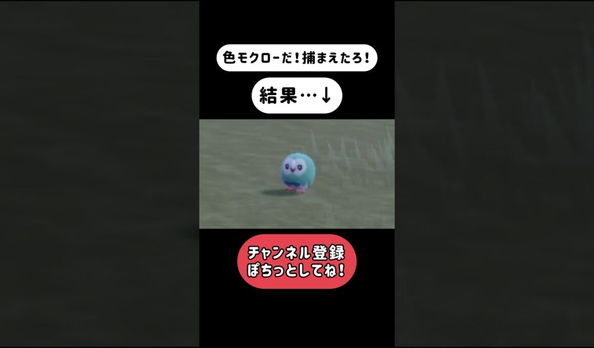 【ポケモンSV】心のルフィが叫んでた #shorts #pokemon #ポケモン #ポケットモンスター #ポケットモンスタースカーレットバイオレット #モクロー #ワンピース