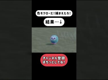 【ポケモンSV】心のルフィが叫んでた #shorts #pokemon #ポケモン #ポケットモンスター #ポケットモンスタースカーレットバイオレット #モクロー #ワンピース