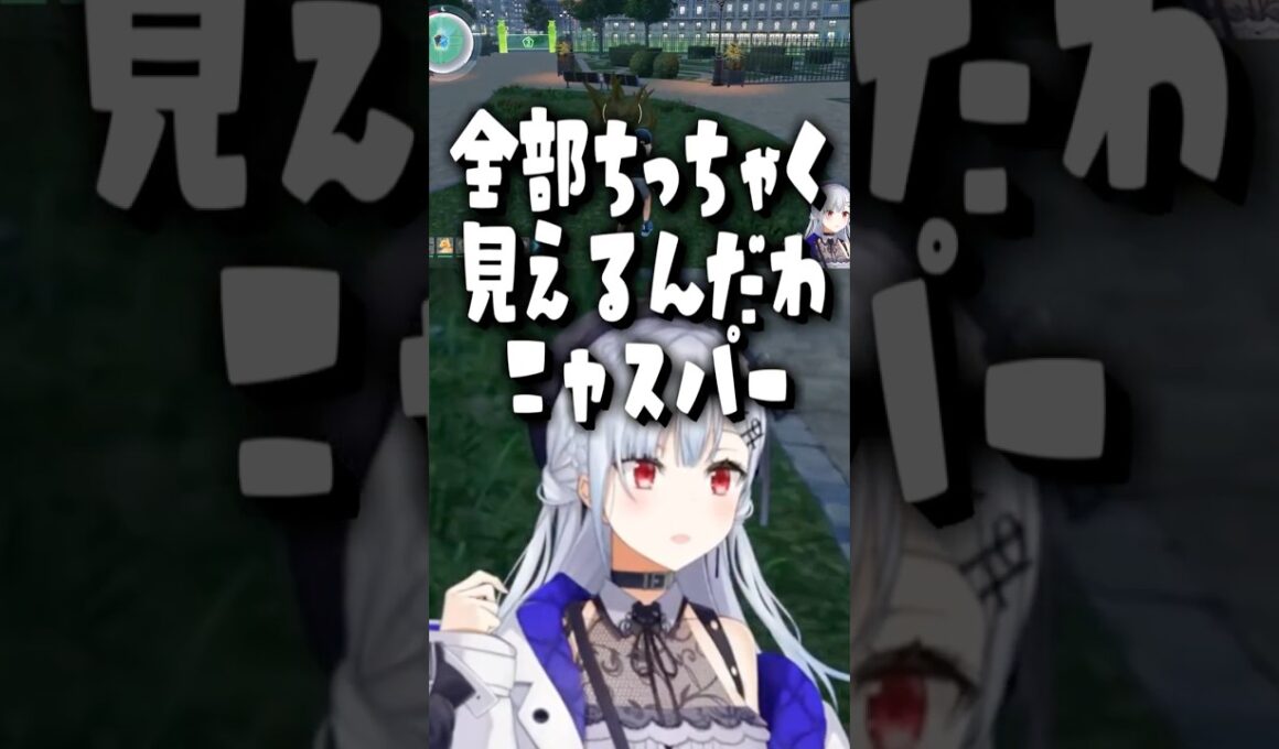 【XS耐久】ニャスパーのサイズ感に翻弄される葉加瀬集