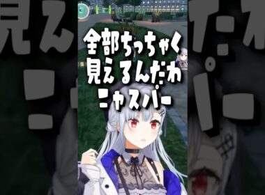 【XS耐久】ニャスパーのサイズ感に翻弄される葉加瀬集