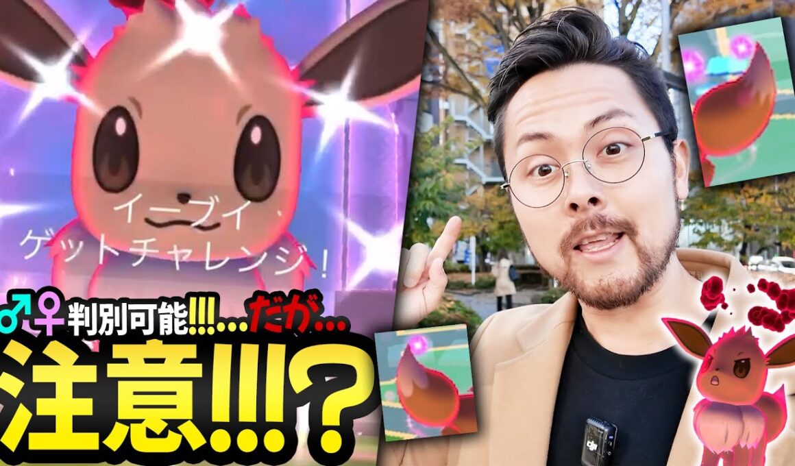 注意！！イーブイの性別は判別可能！だがバグに気を付けろ！？ダイマックス！100％イーブイはグレイシアへ進化がオススメ！！！【ポケモンGO】