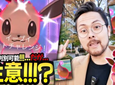 注意！！イーブイの性別は判別可能！だがバグに気を付けろ！？ダイマックス！100％イーブイはグレイシアへ進化がオススメ！！！【ポケモンGO】